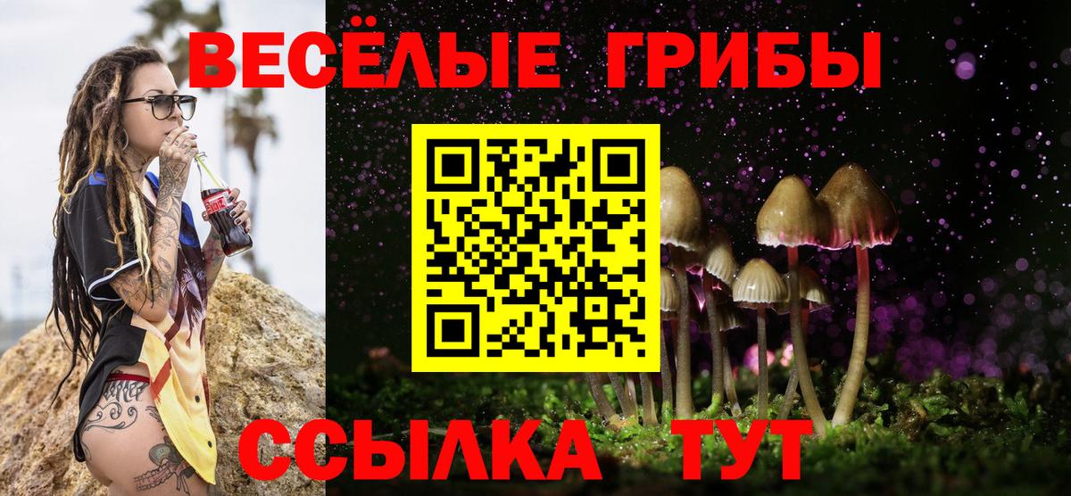 Псилоцибиновые грибы мухоморы Можайск